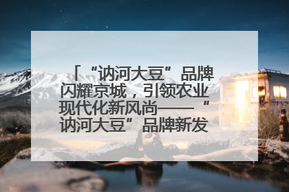 “讷河大豆”品牌闪耀京城，引领农业现代化新风尚——“讷河大豆”品牌新发地推介会圆满落幕
