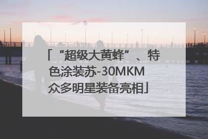 “超级大黄蜂”、特色涂装苏-30MKM 众多明星装备亮相