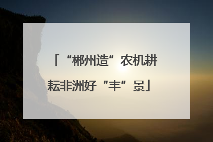 “郴州造”农机耕耘非洲好“丰”景