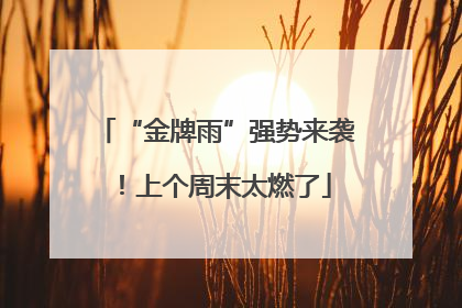 “金牌雨”强势来袭！上个周末太燃了