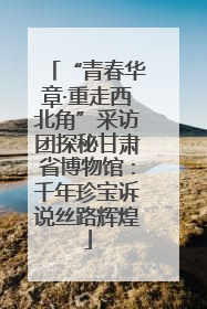 “青春华章·重走西北角”采访团探秘甘肃省博物馆：千年珍宝诉说丝路辉煌