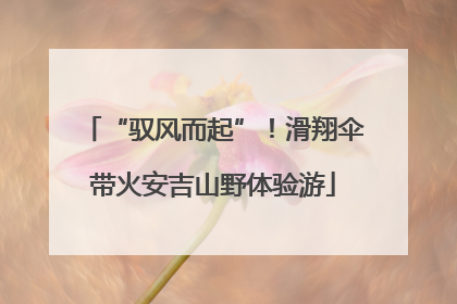 “驭风而起”！滑翔伞带火安吉山野体验游