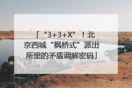 “3+3+X”！北京西城“枫桥式”派出所里的矛盾调解密码