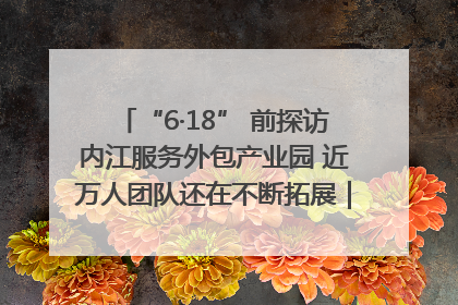 “6·18” 前探访内江服务外包产业园 近万人团队还在不断拓展｜内江东兴“红”在哪⑤