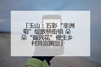 玉山：五彩“非洲菊”绽放横街镇 朵朵“振兴花”催生乡村共富图景