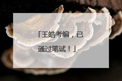 王皓考编，已通过笔试！