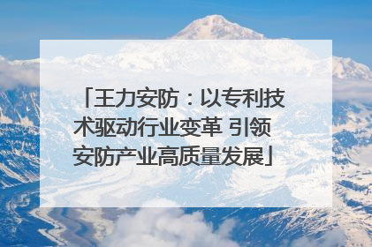 王力安防：以专利技术驱动行业变革 引领安防产业高质量发展