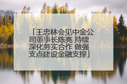 王忠林会见中金公司董事长陈亮 持续深化务实合作 做强支点建设金融支撑