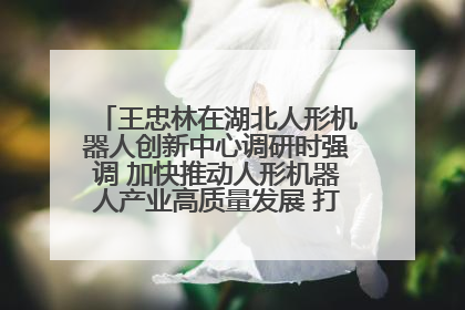 王忠林在湖北人形机器人创新中心调研时强调 加快推动人形机器人产业高质量发展 打造具有全国影响力的研发创新基地
