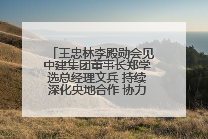 王忠林李殿勋会见中建集团董事长郑学选总经理文兵 持续深化央地合作 协力推动支点建设