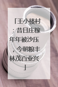 王小楼村：昔日庄稼年年被沙压，今朝粮丰林茂百业兴