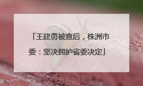 王建勇被查后，株洲市委：坚决拥护省委决定