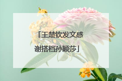 王楚钦发文感谢搭档孙颖莎
