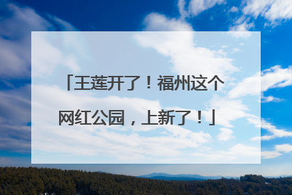 王莲开了！福州这个网红公园，上新了！