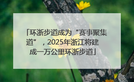 环浙步道成为“赛事聚集道”，2025年浙江将建成一万公里环浙步道