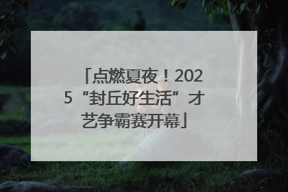 点燃夏夜！2025“封丘好生活”才艺争霸赛开幕