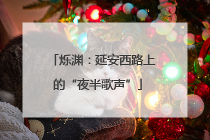 烁渊：延安西路上的“夜半歌声”