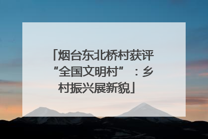 烟台东北桥村获评“全国文明村”：乡村振兴展新貌
