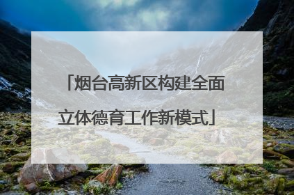 烟台高新区构建全面立体德育工作新模式