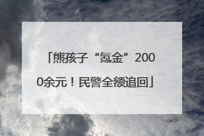 熊孩子“氪金”2000余元！民警全额追回