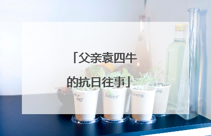 父亲袁四牛的抗日往事