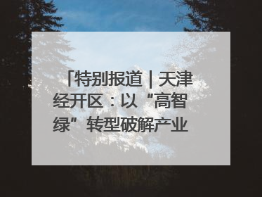 特别报道｜天津经开区：以“高智绿”转型破解产业升级压力