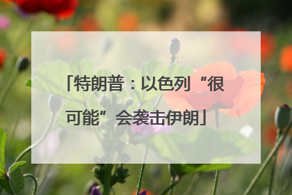 特朗普：以色列“很可能”会袭击伊朗