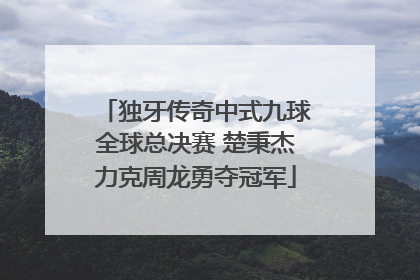 独牙传奇中式九球全球总决赛 楚秉杰力克周龙勇夺冠军