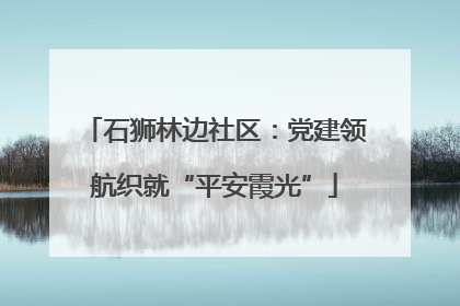 石狮林边社区：党建领航织就“平安霞光”