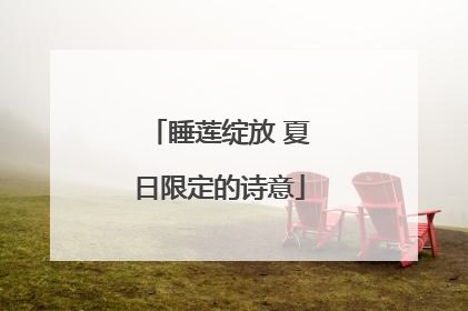 睡莲绽放 夏日限定的诗意