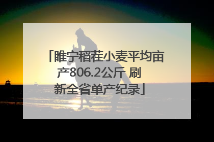 睢宁稻茬小麦平均亩产806.2公斤 刷新全省单产纪录