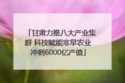 甘肃力推八大产业集群 科技赋能寒旱农业冲刺6000亿产值