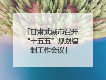 甘肃武威市召开“十五五”规划编制工作会议