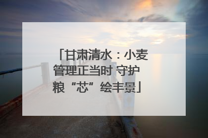 甘肃清水：小麦管理正当时 守护粮“芯”绘丰景