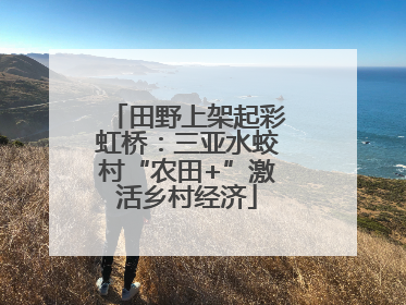 田野上架起彩虹桥：三亚水蛟村“农田+”激活乡村经济