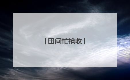 田间忙抢收