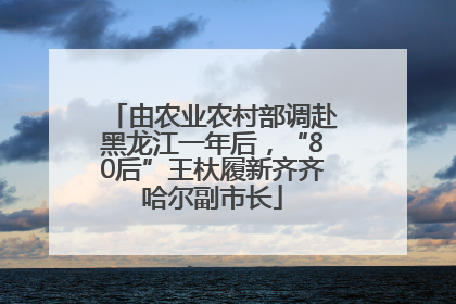 由农业农村部调赴黑龙江一年后，“80后”王杕履新齐齐哈尔副市长