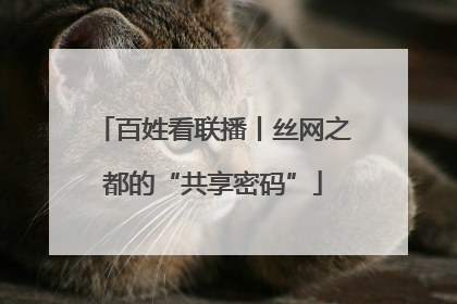 百姓看联播丨丝网之都的“共享密码”