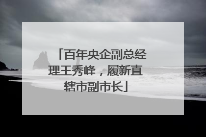 百年央企副总经理王秀峰，履新直辖市副市长