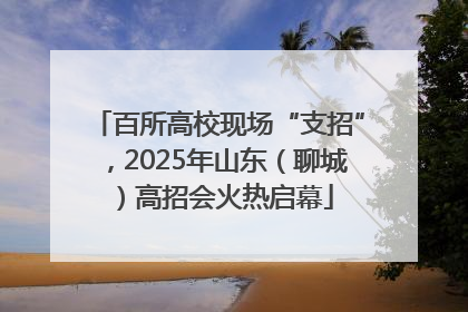 百所高校现场“支招”，2025年山东（聊城）高招会火热启幕