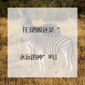 白酒股还是“永远的神”吗