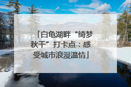 白龟湖畔“绮梦秋千”打卡点：感受城市浪漫温情