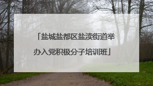 盐城盐都区盐渎街道举办入党积极分子培训班