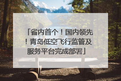 省内首个！国内领先！青岛低空飞行监管及服务平台完成部署
