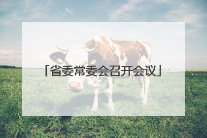 省委常委会召开会议