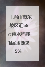 眉山市东坡区近58万亩水稻栽插面积超85%