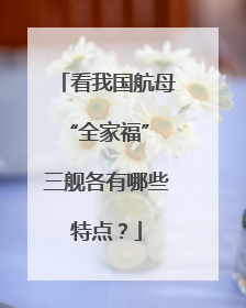 看我国航母“全家福” 三舰各有哪些特点？