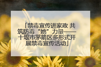 禁毒宣传进家政 共筑防毒“她”力量——十堰市茅箭区多形式开展禁毒宣传活动