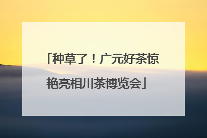 种草了！广元好茶惊艳亮相川茶博览会
