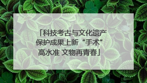 科技考古与文化遗产保护成果上新“手术”高水准 文物再青春